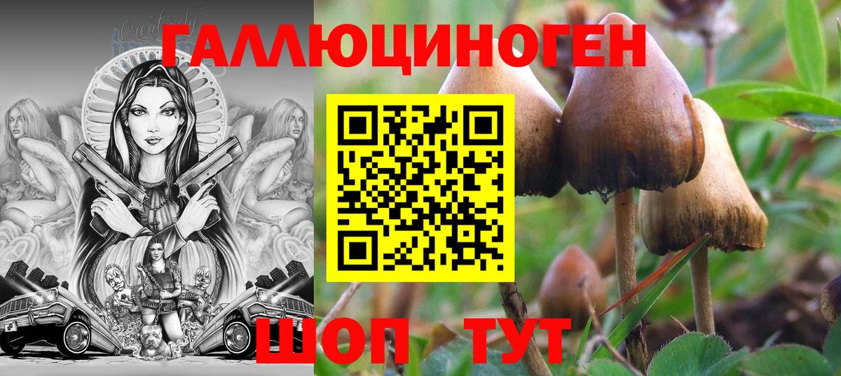 Котельники  Псилоцибиновые грибы MAGIC MUSHROOMS  Вход с VPN 