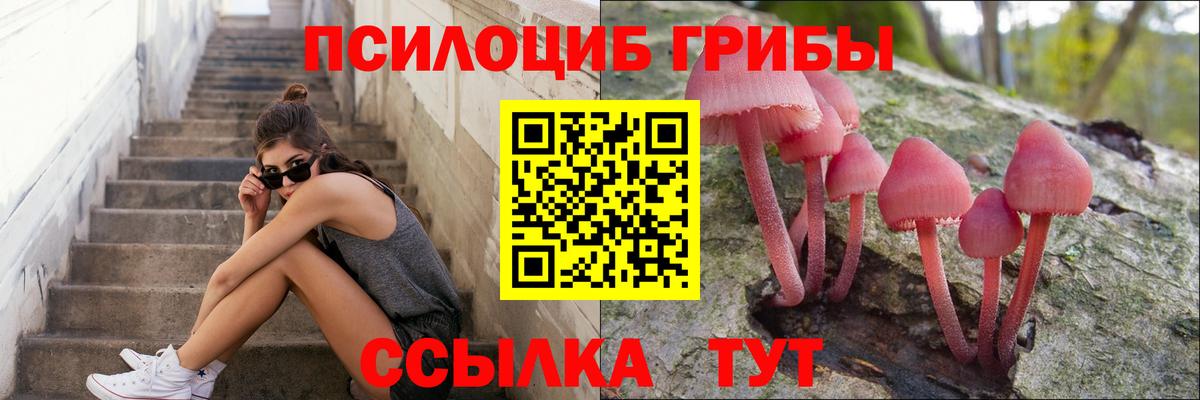 Псилоцибиновые грибы прущие грибы Котельники
